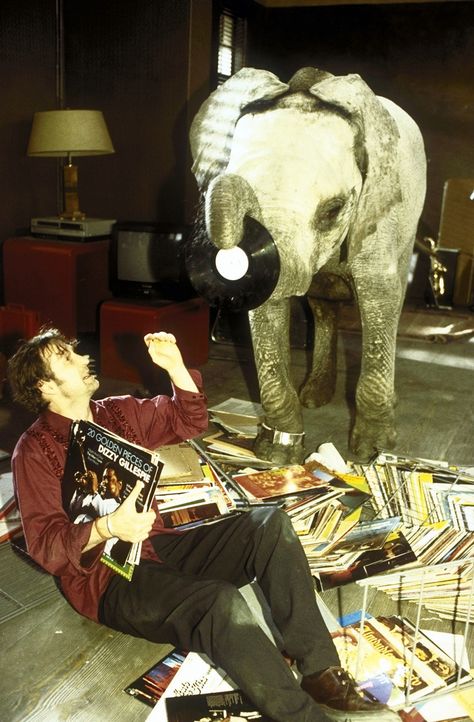 Der Elefant in meinem Bett - Van film - Peter Lohmeyer