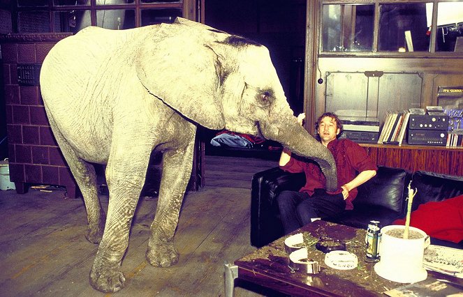 Der Elefant in meinem Bett - Van film - Peter Lohmeyer