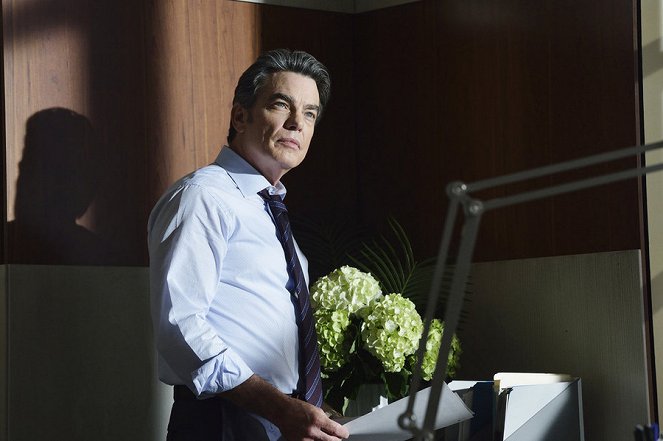Covert Affairs - Film - Peter Gallagher