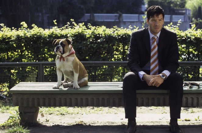 Hunde haben kurze Beine - Kuvat elokuvasta - Tim Bergmann