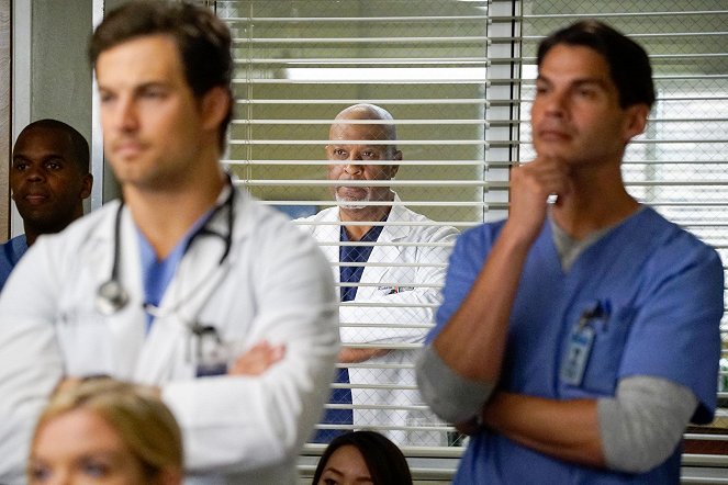 Grey's Anatomy - Season 13 - Why Try to Change Me Now - Photos - James Pickens Jr.