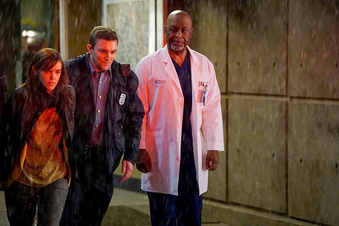 Grey's Anatomy - Season 13 - You Haven't Done Nothin' - Photos - James Pickens Jr.