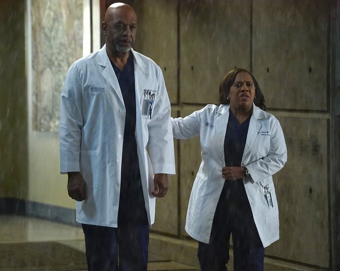 Grey's Anatomy - Season 13 - You Haven't Done Nothin' - Van film - James Pickens Jr., Chandra Wilson