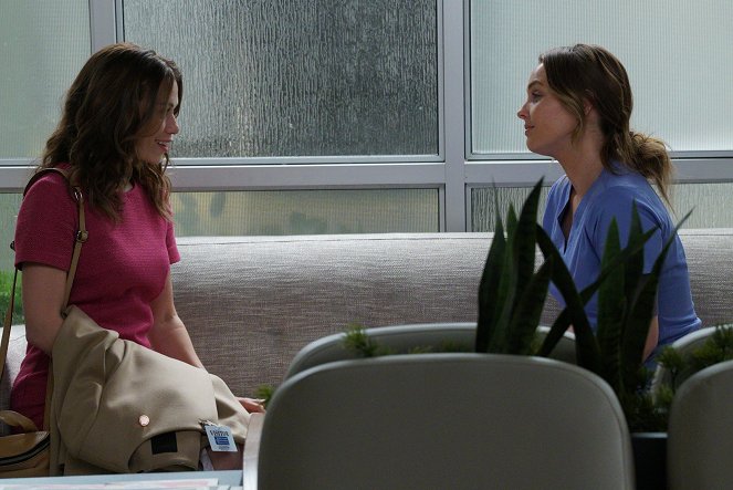 Grey's Anatomy - Season 14 - 1-800-799-7233 - Photos - Bethany Joy Lenz, Camilla Luddington
