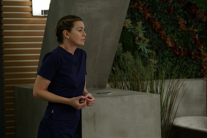 A Anatomia de Grey - Quatro estações em um dia - Do filme - Ellen Pompeo