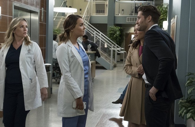 Grey's Anatomy - Season 14 - 1-800-799-7233 - Van film - Jessica Capshaw, Camilla Luddington, Bethany Joy Lenz, Matthew Morrison
