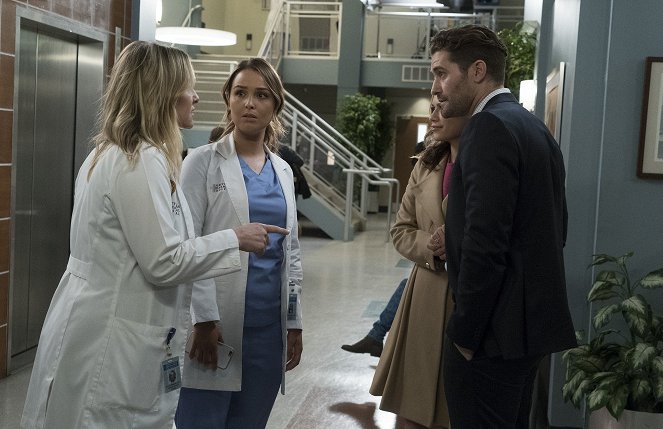 Grey's Anatomy - Season 14 - 1-800-799-7233 - Photos - Jessica Capshaw, Camilla Luddington, Bethany Joy Lenz, Matthew Morrison