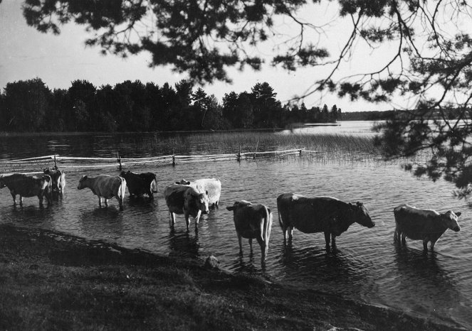 Finlandia - Kuvat elokuvasta