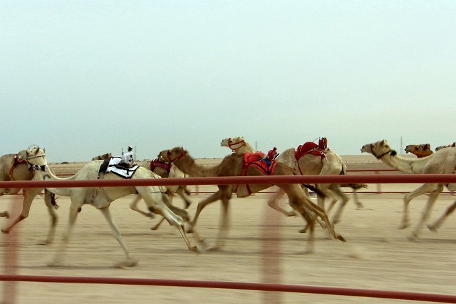 Unbekanntes Arabien - Die kleinen Nachbarn Bahrain, Katar, Kuwait - Filmfotók