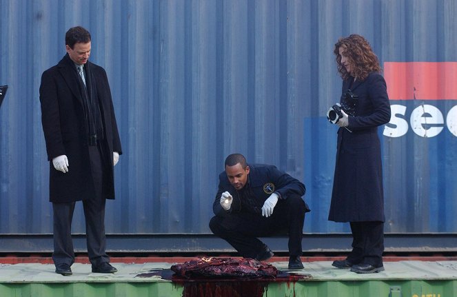 CSI: New York-i helyszínelők - Diszkréten - Filmfotók - Gary Sinise, Hill Harper, Melina Kanakaredes
