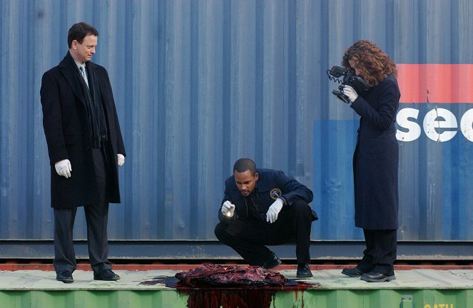 CSI: New York-i helyszínelők - Diszkréten - Filmfotók - Gary Sinise, Hill Harper, Melina Kanakaredes