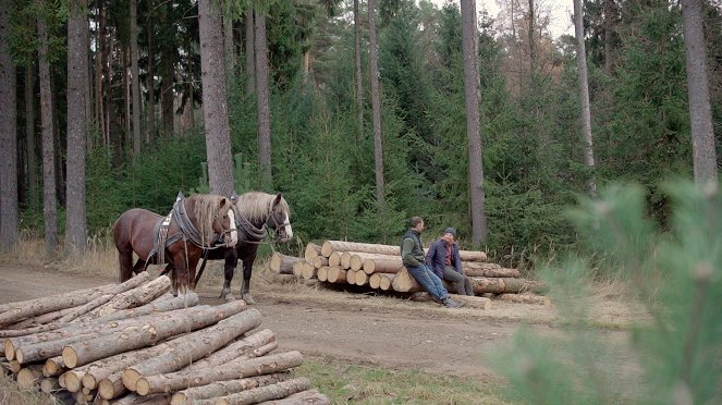 Co naše babičky uměly a na co my jsme zapomněli - Z filmu