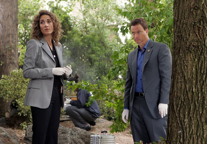 CSI: NY - Season 5 - The Cost of Living - Photos - Melina Kanakaredes, Gary Sinise