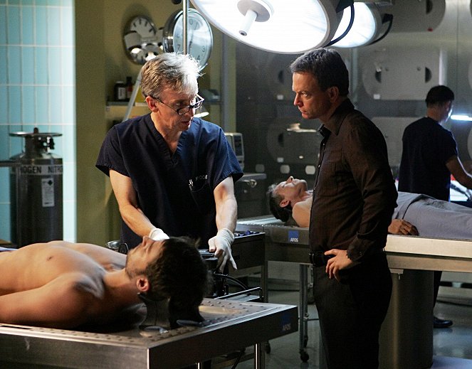 CSI: Kryminalne zagadki Nowego Jorku - Cena życia - Z filmu - Robert Joy, Gary Sinise