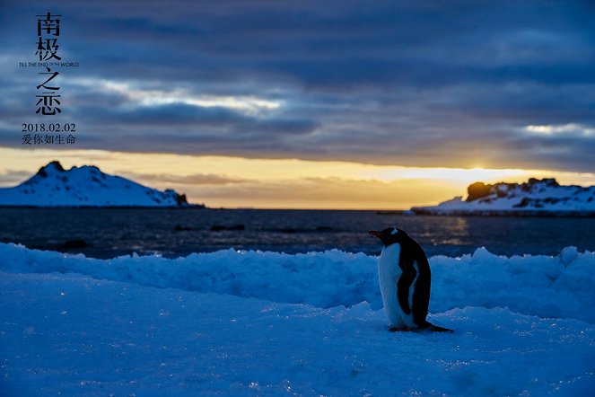 Till the End of the World - Fotosky