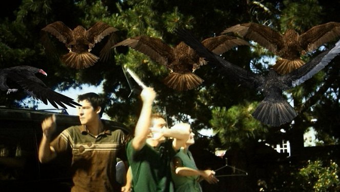 Birdemic: Shock and Terror - Van film