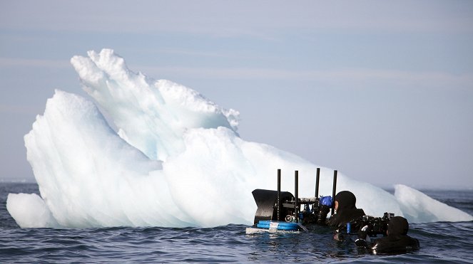 The Blue Planet - One Ocean - Tournage