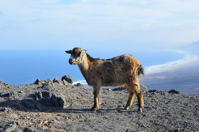 Na cestě - Na cestě po ostrově Fuerteventura - De la película