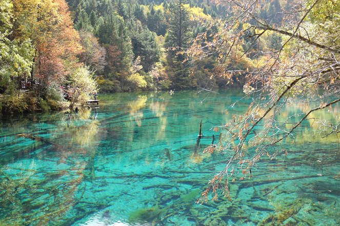 Sichuan, terre d'abondance - Film