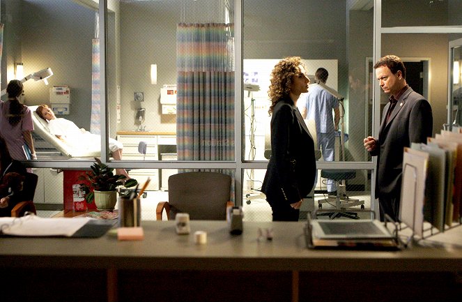 CSI: Kryminalne zagadki Nowego Jorku - Nazywam się Mac Taylor - Z filmu - Melina Kanakaredes, Gary Sinise