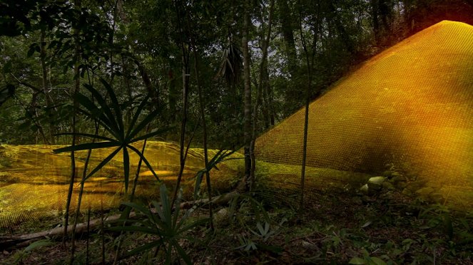 Verlorene Schätze der Maya - Secrets of the Snake Altar - Filmfotos