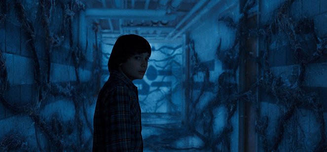 Stranger Things - Hoofdstuk drie: The Pollywog - Van film - Noah Schnapp