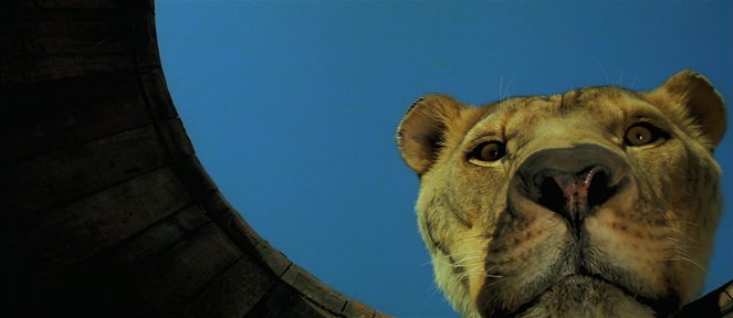 Roar - Die Löwen sind los - Filmfotos