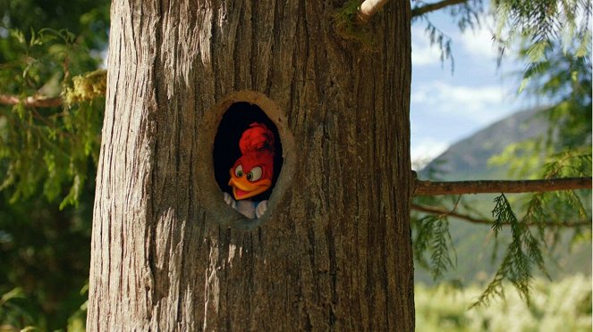 Woody Woodpecker - Van film
