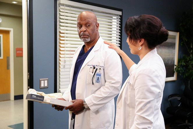Grey's Anatomy - Season 12 - Walking Tall - Photos - James Pickens Jr.