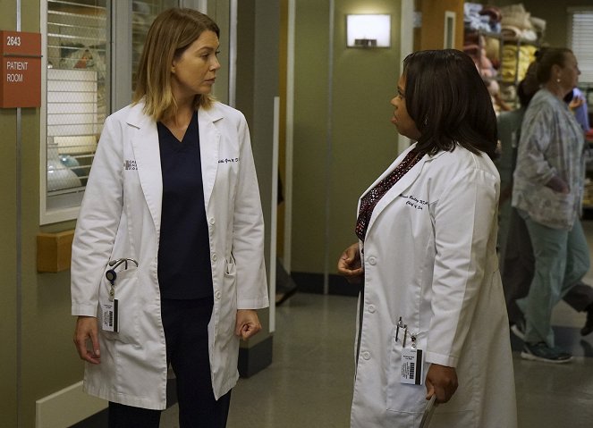 Grey's Anatomy - Season 12 - La Folie des grandeurs - Film - Ellen Pompeo, Chandra Wilson