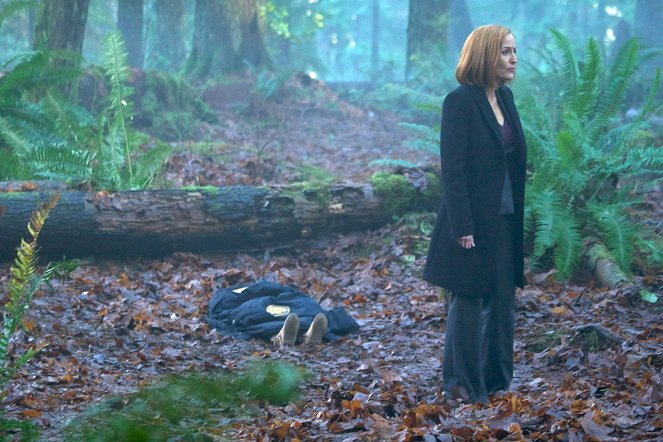 The X-Files - Familiar - Van film - Gillian Anderson