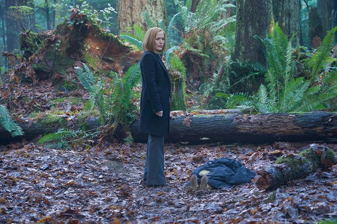The X-Files - Salaiset kansiot - Apuhenki - Kuvat elokuvasta - Gillian Anderson