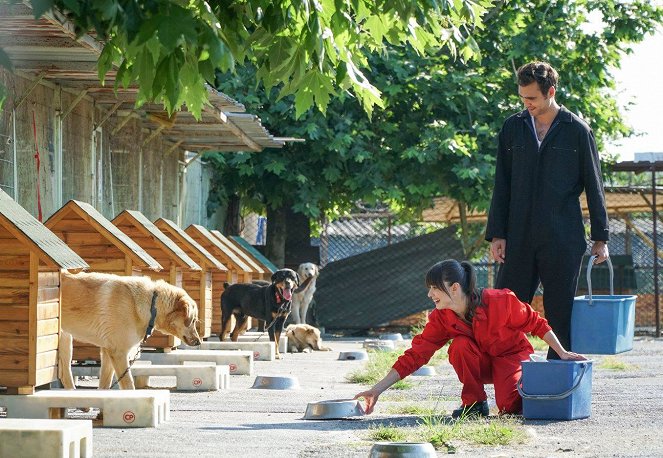 A szerelem íze - Filmfotók - Özge Gürel, Hakan Kurtaş