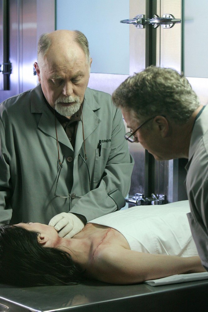 CSI: Crime Scene Investigation - Season 7 - Happenstance - De la película - Robert David Hall
