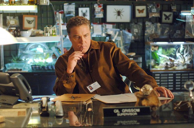 CSI: Crime Scene Investigation - Season 7 - Loco Motives - Photos - William Petersen