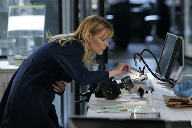 CSI: Crime Scene Investigation - Leaving Las Vegas - Kuvat elokuvasta - Marg Helgenberger