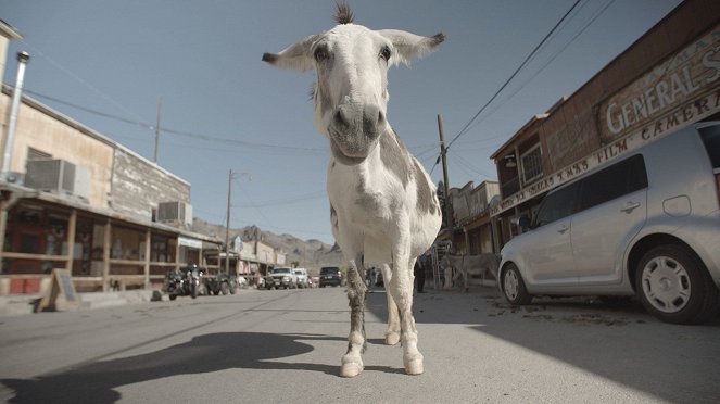 United States of Animals - Do filme
