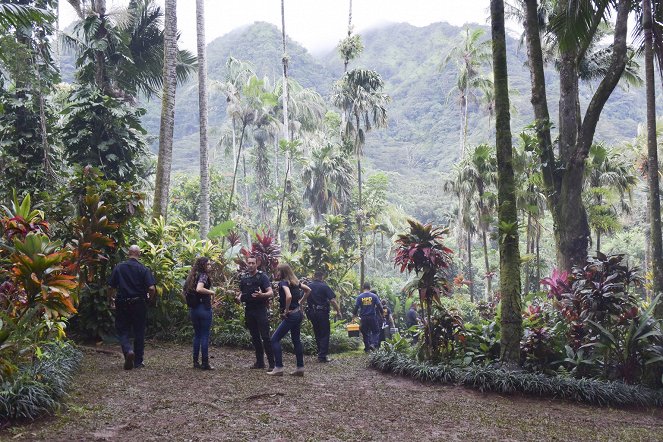 Hawaii Five-0 - Kama'oma'o, ka 'aina huli hana - De la película
