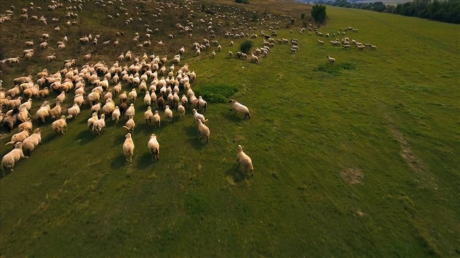 À ciel ouvert : Roumanie - Kuvat elokuvasta
