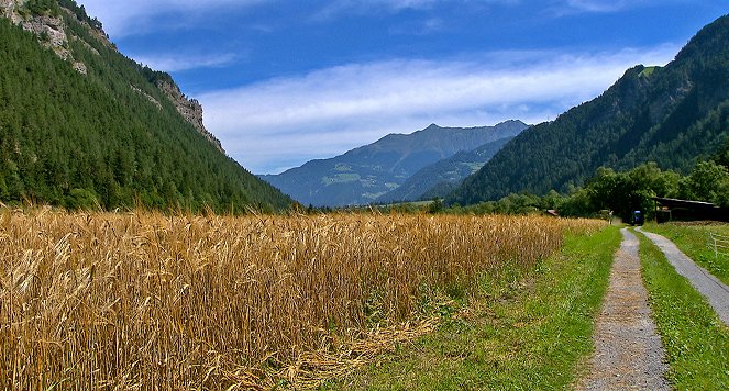 Wie Phönix aus dem Acker - Alte Getreidesorten in Tirol - De la película