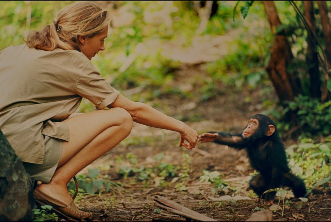 Jane - Film - Jane Goodall