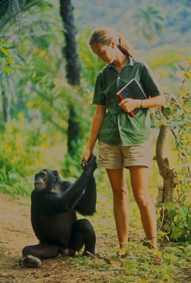 Jane - Z filmu - Jane Goodall