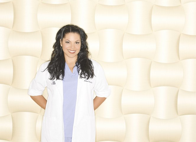 Grey's Anatomy - Season 6 - Promo - Sara Ramirez