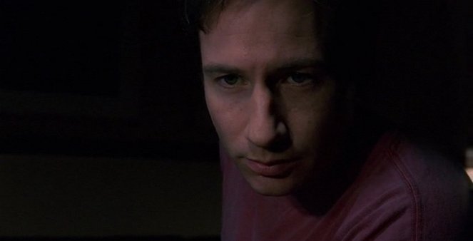 The X-Files - War of the Coprophages - Van film - David Duchovny
