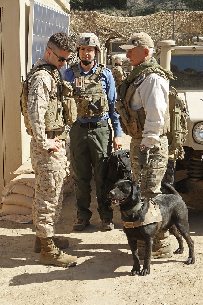 NCIS : Enquêtes spéciales - Chien de guerre - Film - Sterling Jones, Sean Murray, Mark Harmon