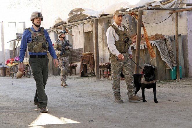 NCIS : Enquêtes spéciales - Chien de guerre - Film - Sean Murray, Mark Harmon
