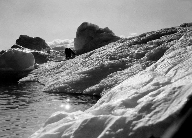 S. O. S. ledovec - Z filmu
