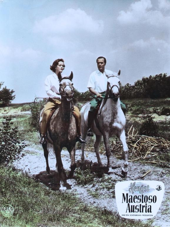 Hengst Maestoso Austria - Lobby Cards