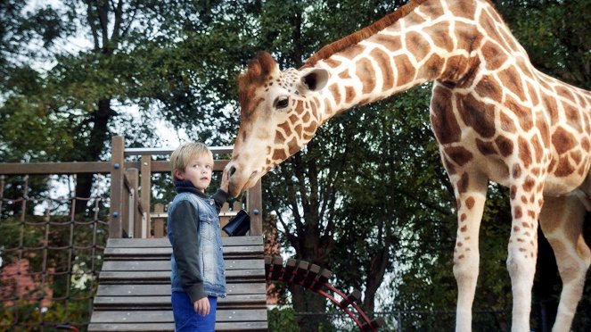 Mein Freund, die Giraffe - Filmfotos - Liam de Vries