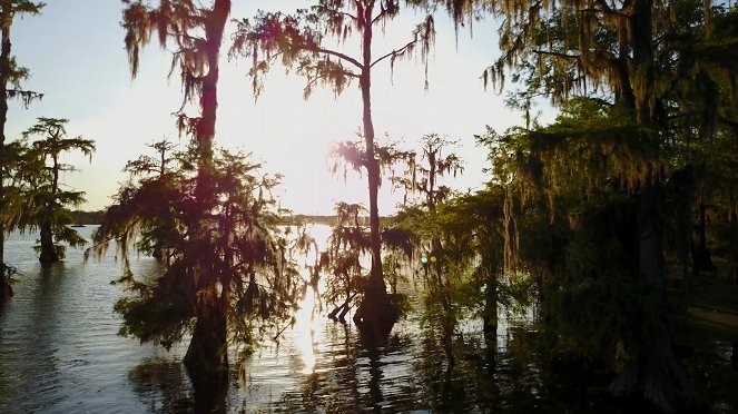 Louisiane, l'Amérique créole - Van film